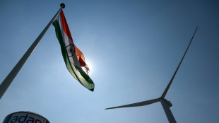 Le groupe indien Adani renonce à un énorme projet de ferme éolienne au Sri Lanka