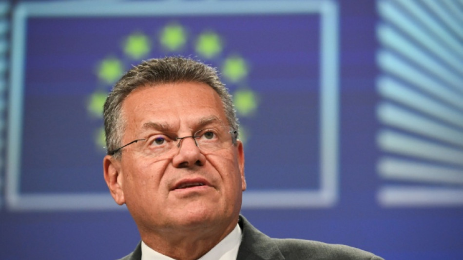 EU-Handelskommissar: Aufschub chinesischer Exportkontrollen gilt auch f&uuml;r EU