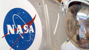 La Nasa si riorganizza per accelerare verso la Luna