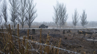 Memorial, volontario italiano morto in battaglia in Ucraina