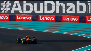 Norris completes Abu Dhabi practice 'double top' to boost title bid