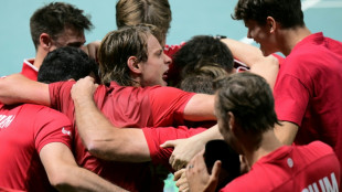 Coupe Davis: les Belges renvoient d&eacute;j&agrave; la France &agrave; la maison