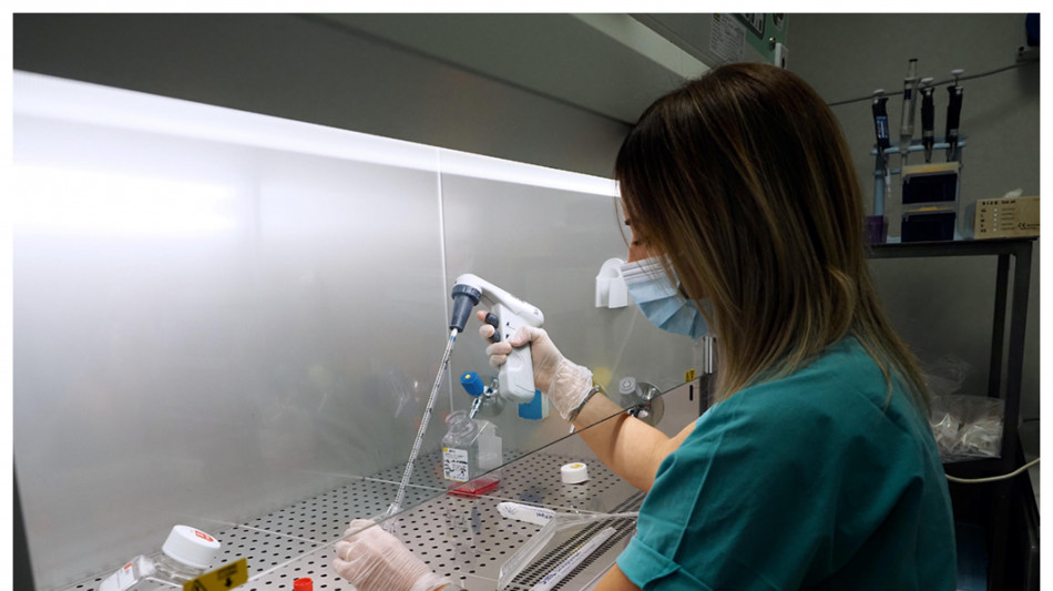 Terapia rigenerativa ripara midollo spinale umano coltivato in laboratorio