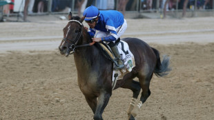 Favorite Sovereignty scratched from Breeders' Cup Classic after fever
