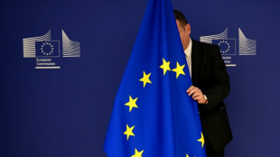 EU einigt sich auf erneute Verschärfung der Sanktionen gegen Moskau