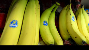 Big delle banane Chiquita farà licenziamenti di massa a Panama