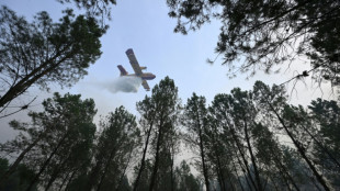 Incendie dans les Landes: les moyens se concentrent sur la reprise de feu nocturne