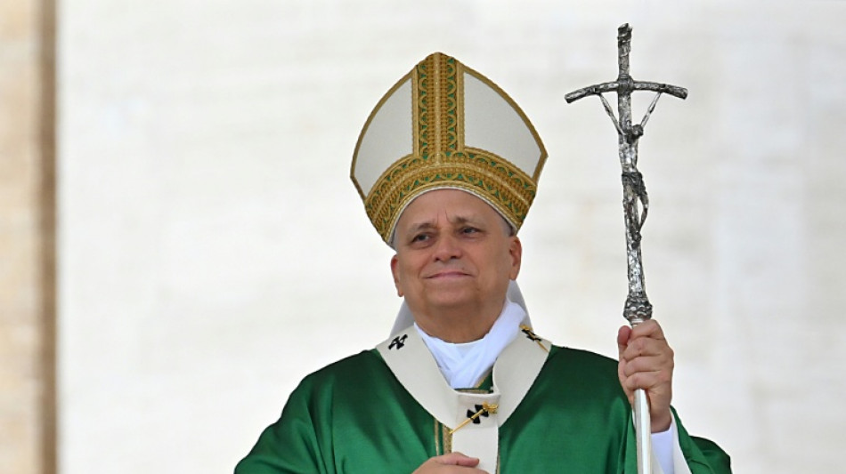 El papa León XIV celebra "avances significativos" hacia la paz en Gaza