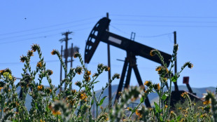 Oil prices dive as IEA eyes emergency release with Hormuz Strait in focus