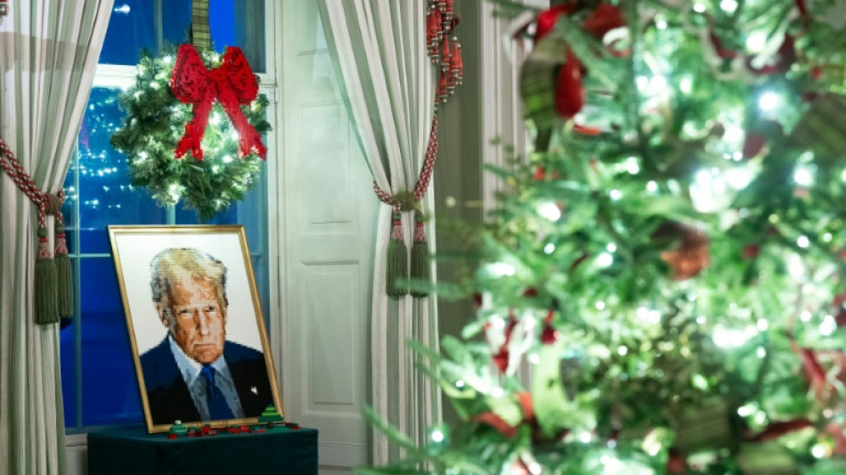 White House gets scaled-down Christmas display amid ballroom work
