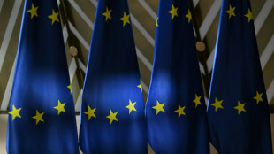 Studie: Junge Menschen stehen zu Demokratie und EU - sehen aber Reformbedarf