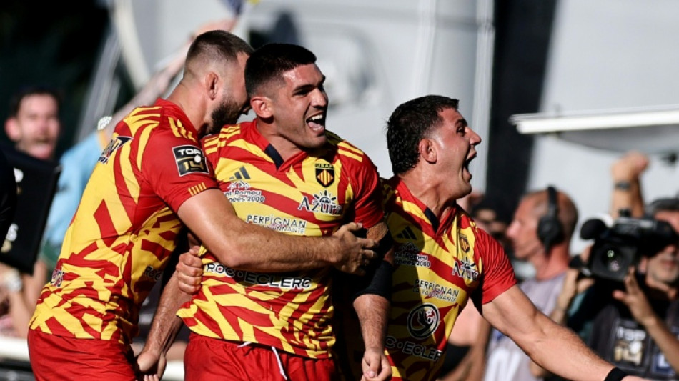 Top 14: Perpignan bat Provence Rugby et d&eacute;croche son maintien en sp&eacute;cialiste