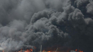 Explosion dans un port en Iran: le ministre de l'Intérieur pointe la "négligence", 46 morts