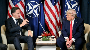 Trump ber&auml;t mit Rutte: USA pr&uuml;fen laut Bericht "Bestrafung" der Nato