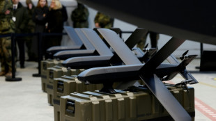 Haushaltsausschuss stimmt &uuml;ber Kampfdrohnen f&uuml;r die Bundeswehr ab