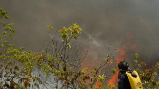 Colombia, 16 incendi boschivi attivi in cinque dipartimenti
