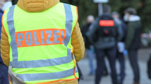 Zwölf Verletzte durch Messerangriff in Hamburger Hauptbahnhof