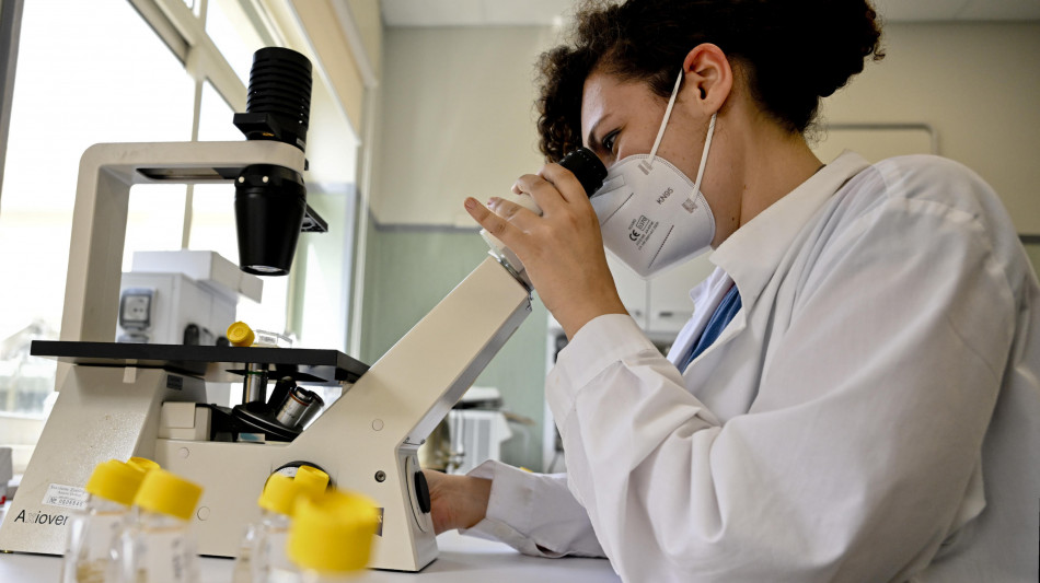 Biotecnologie, in Italia un comparto da oltre 47 miliardi