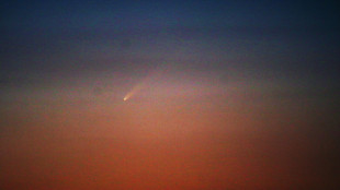 Regalo di Natale anticipato dalla cometa interstellare Atlas