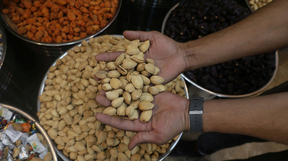 Gusci di mandorla possono diventare dispositivi elettronici biodegradabili