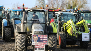 Tausende irische Landwirte demonstrieren gegen Mercosur-Handelsabkommen