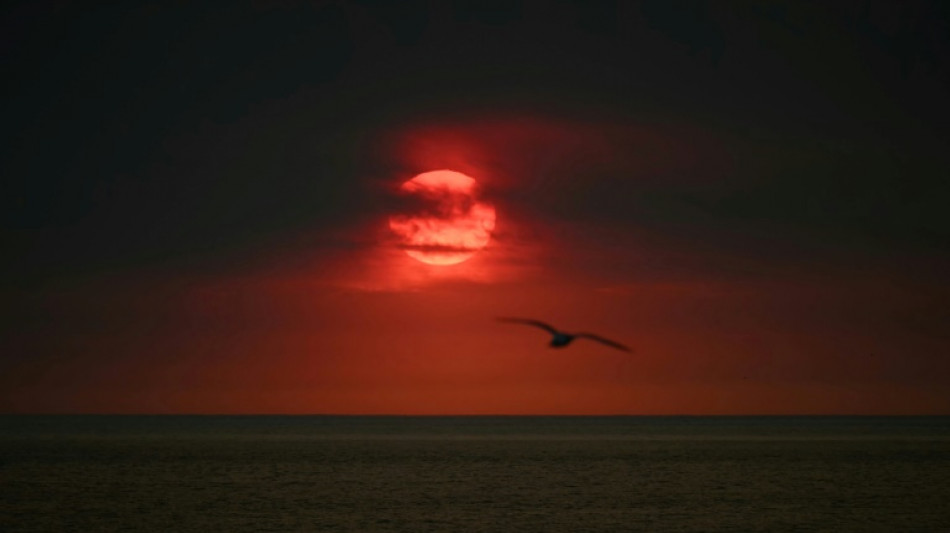 Las actividades humanas perturban la absorción de CO2 por los océanos, según un estudio