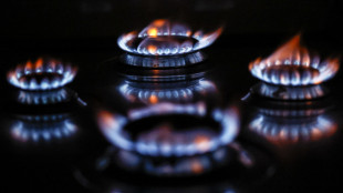 Il prezzo del gas apre in rialzo a 40,96 euro al megawattora