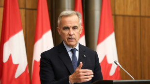 Canadá tiene intención de reconocer el Estado palestino en Asamblea General de ONU
