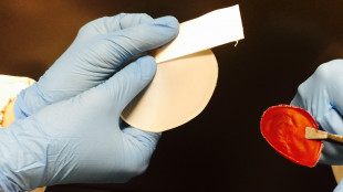 L'IA a fior di pelle, con il cerotto hitech che monitora la salute