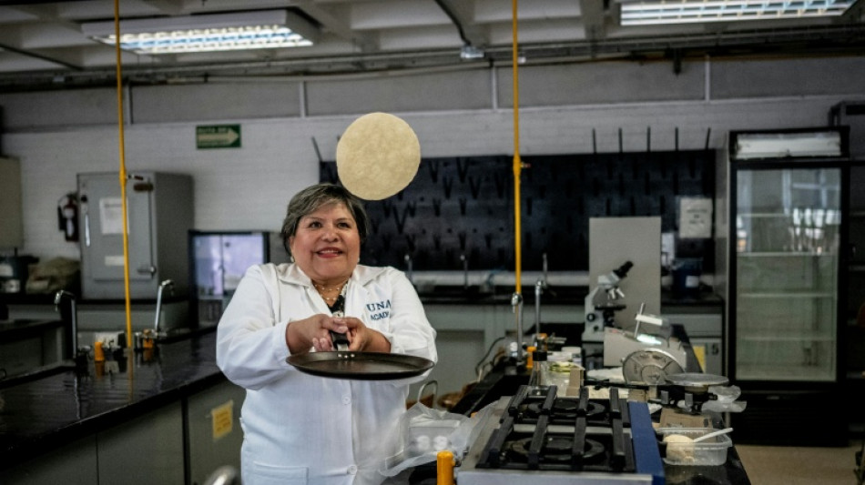 Desarrollan en México una tortilla contra la desnutrición y la falta de neveras