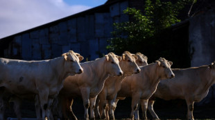 Ouverture du sommet de l'élevage, avec des professionnels de la viande sous tension