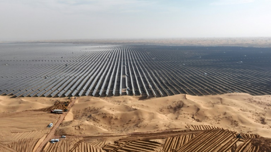 World added 50% more renewable energy capacity last year over 2022: IEA