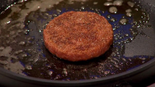 Carne coltivata, insetti e funghi, la sfida &egrave; rendere il cibo pi&ugrave; accessibile