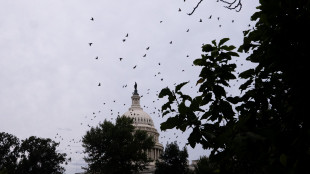 Fallito ennesimo voto al Senato Usa contro lo shutdown