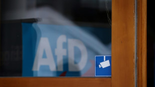 Grüne wollen AfD-Mitgliedern die Waffen abnehmen lassen