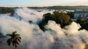 Mueren m&aacute;s de 20 ni&ntilde;os y adolescentes en Cuba por dengue y chikungu&ntilde;a