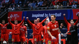 DHB-Bezwinger Portugal chancenlos: Dänemark im WM-Finale