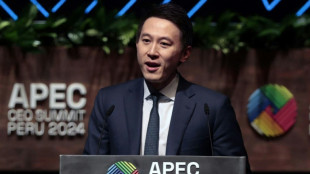 Seguran&ccedil;a de dados pessoais 'n&atilde;o &eacute; negoci&aacute;vel', diz CEO do TikTok