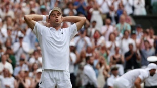 Britain's Fery stuns Dimitrov, Paolini into Wimbledon quarters