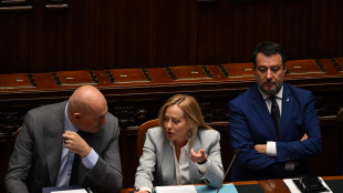 Meloni, al lavoro con Macron-Merz, linee comuni settore auto