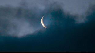 Luna e Venere si incontrano sopra i monumenti di Roma