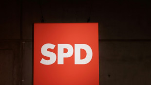 SPD-Parlamentsgesch&auml;ftsf&uuml;hrer Wiese: M&uuml;ssen jetzt die &Auml;rmel hochkrempeln