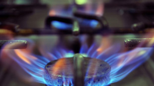 Gaspreise f&uuml;r Neukunden gestiegen - Regierung pr&uuml;ft Einrichtung von Notfall-Reserve