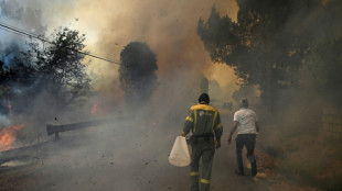España combate sin tregua más de 20 incendios, en el año de mayor devastación por el fuego