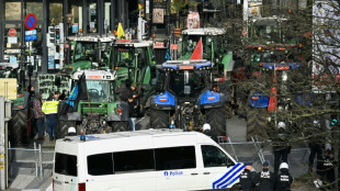Tausende Landwirte demonstrieren in Br&uuml;ssel gegen Mercosur-Handelsabkommen