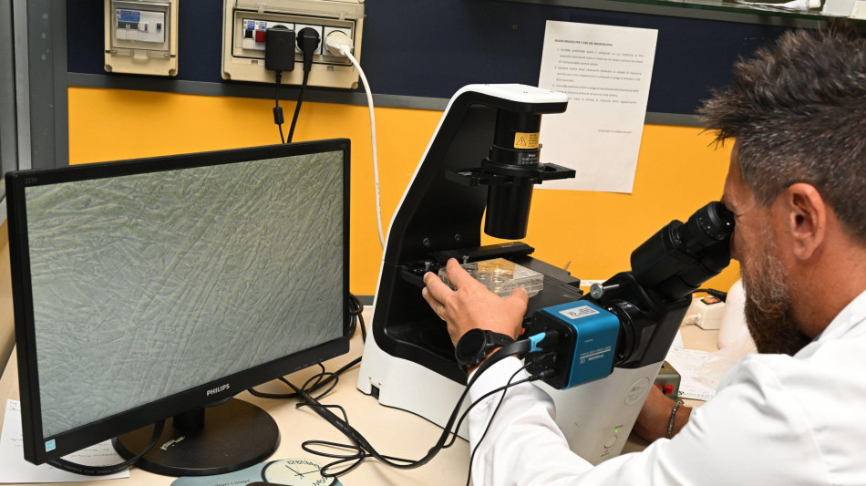 Obesit&agrave;, tre cause spingono il meccanismo che la rende pi&ugrave; grave