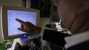 Strutture 100mila volte pi&ugrave; sottili di un capello per l'elettronica del futuro