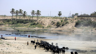 Giornata contro la desertificazione, il tema &egrave; la tutela dei pascoli