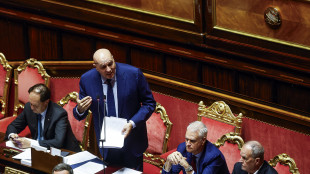 Crosetto 'nessuna corresponsabilità sulle azioni di Netanyahu'