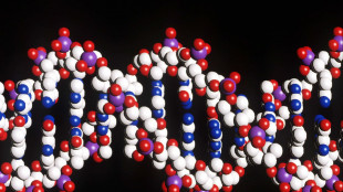 Nuova tecnica per analizzare il Dna, legge anche sezioni finora escluse